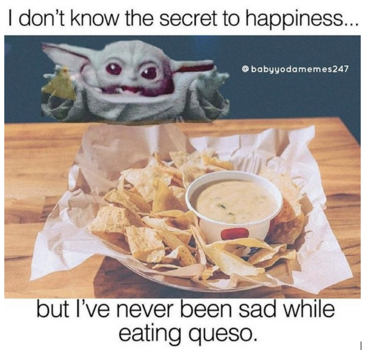 queso quotes funny